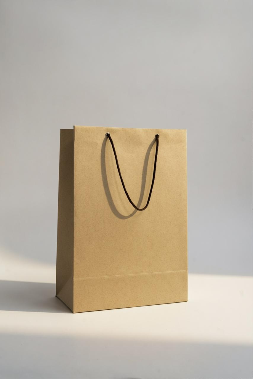 Kraft Brown Gift Bag